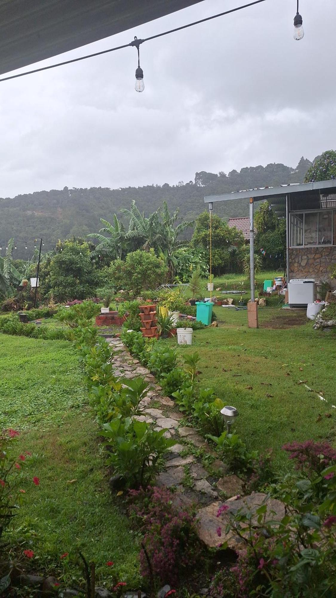 Hostal Vista Boquete Bajo Boquete ภายนอก รูปภาพ