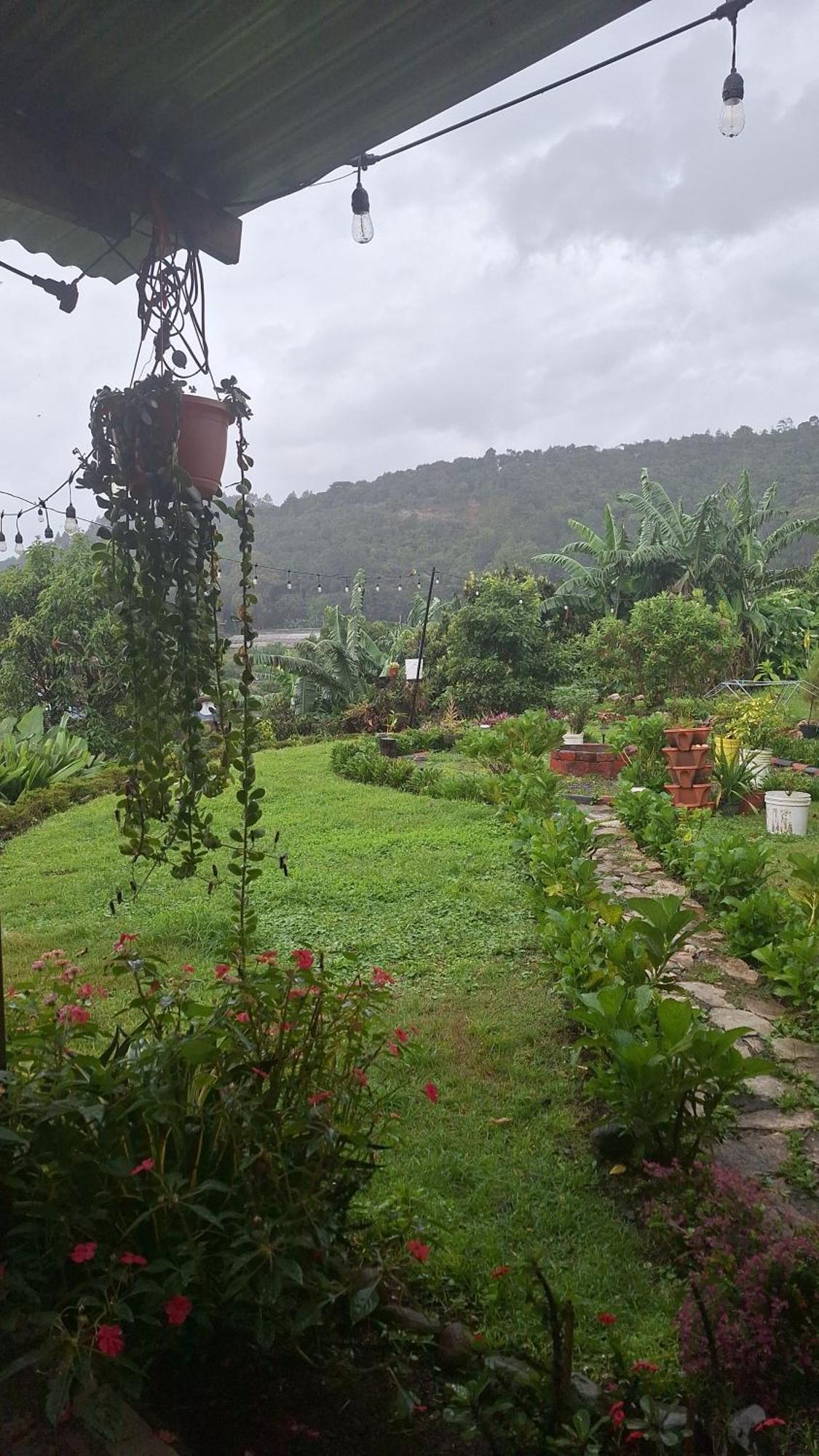 Hostal Vista Boquete Bajo Boquete ภายนอก รูปภาพ