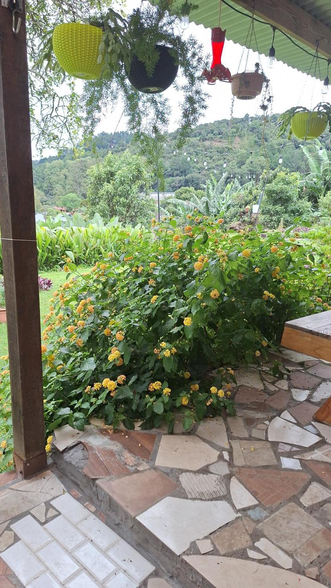 Hostal Vista Boquete Bajo Boquete ภายนอก รูปภาพ