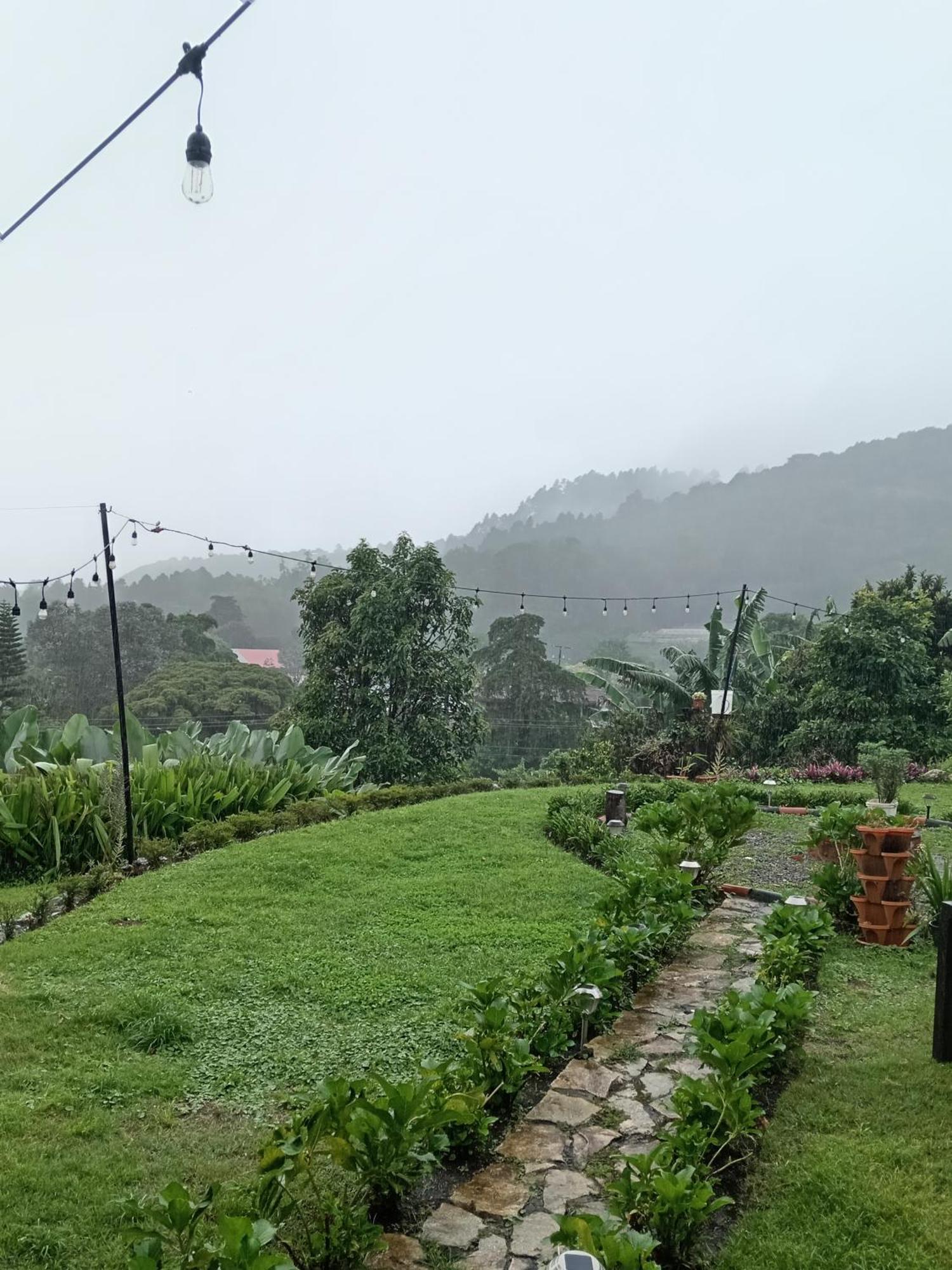 Hostal Vista Boquete Bajo Boquete ภายนอก รูปภาพ