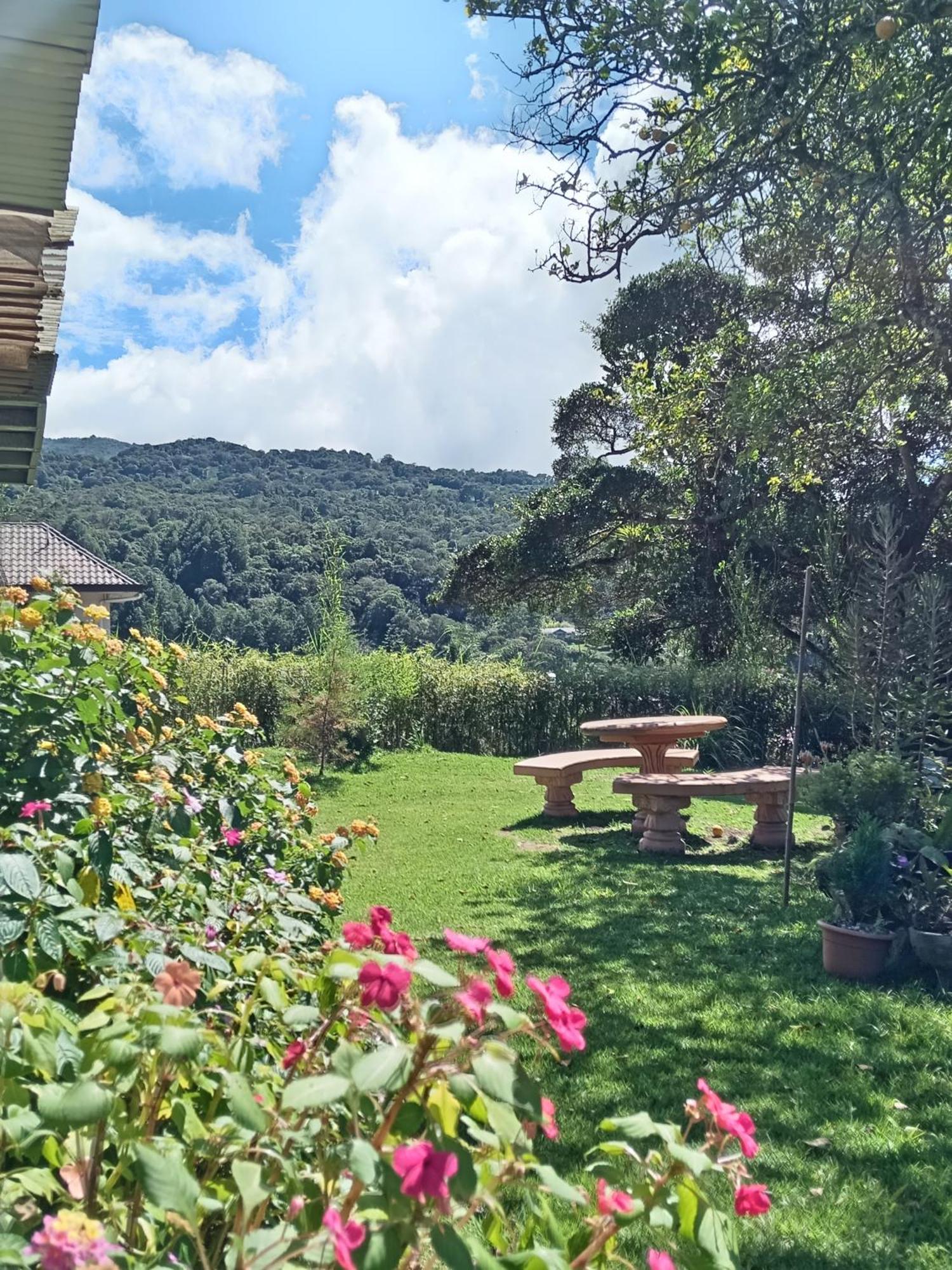 Hostal Vista Boquete Bajo Boquete ภายนอก รูปภาพ