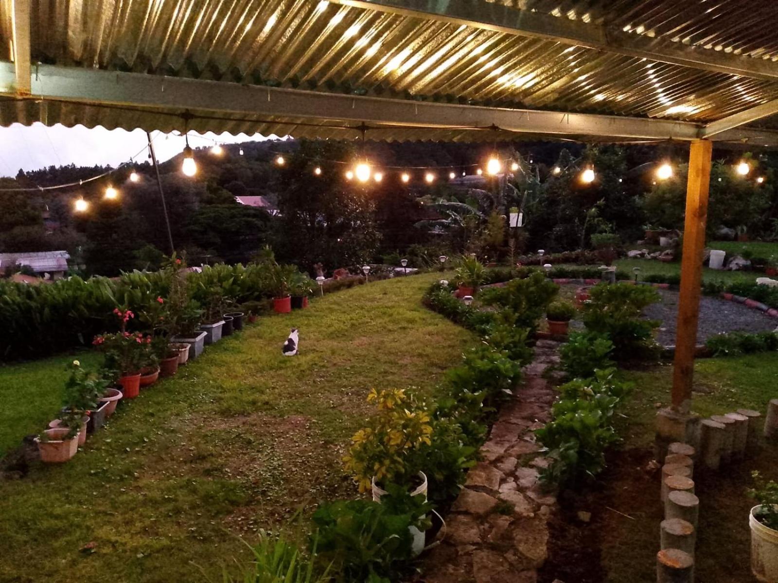 Hostal Vista Boquete Bajo Boquete ภายนอก รูปภาพ