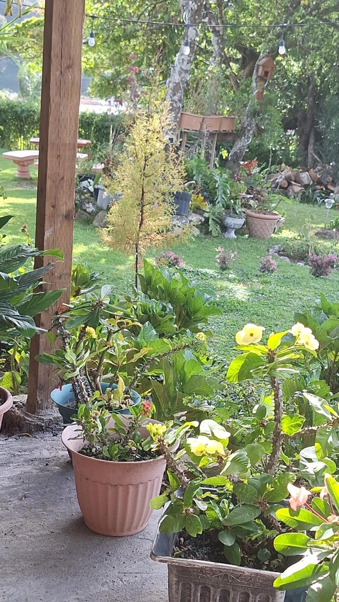 Hostal Vista Boquete Bajo Boquete ภายนอก รูปภาพ
