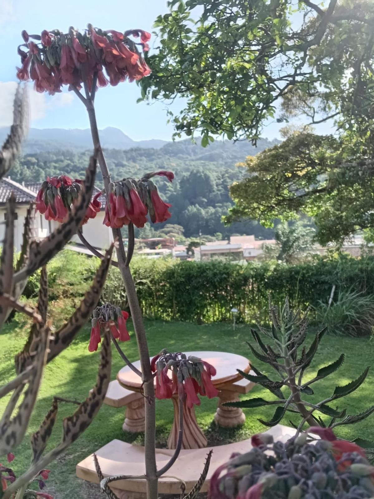 Hostal Vista Boquete Bajo Boquete ภายนอก รูปภาพ