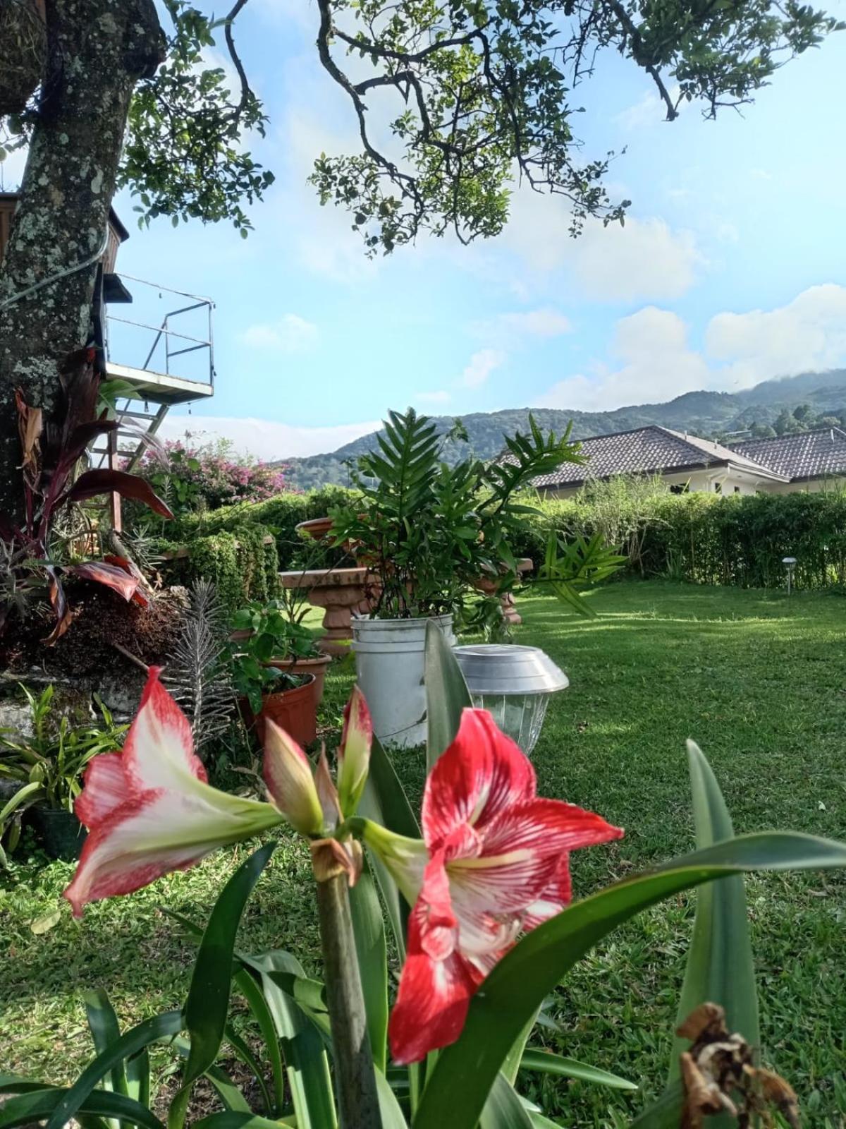 Hostal Vista Boquete Bajo Boquete ภายนอก รูปภาพ