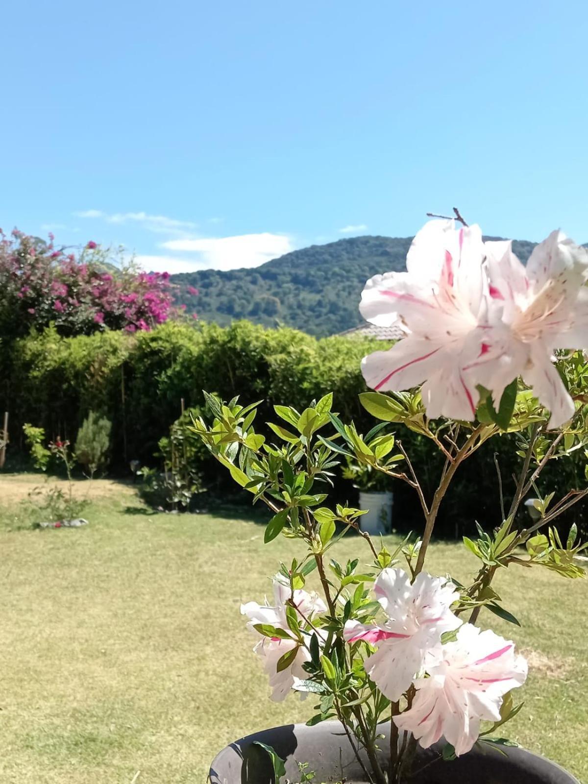 Hostal Vista Boquete Bajo Boquete ภายนอก รูปภาพ