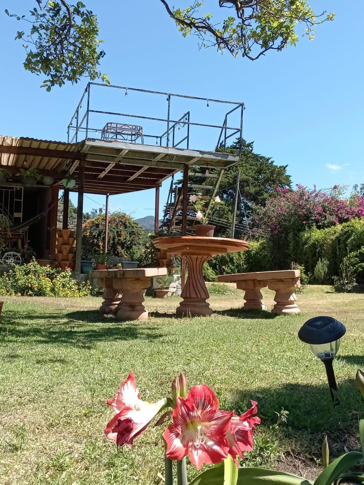 Hostal Vista Boquete Bajo Boquete ภายนอก รูปภาพ