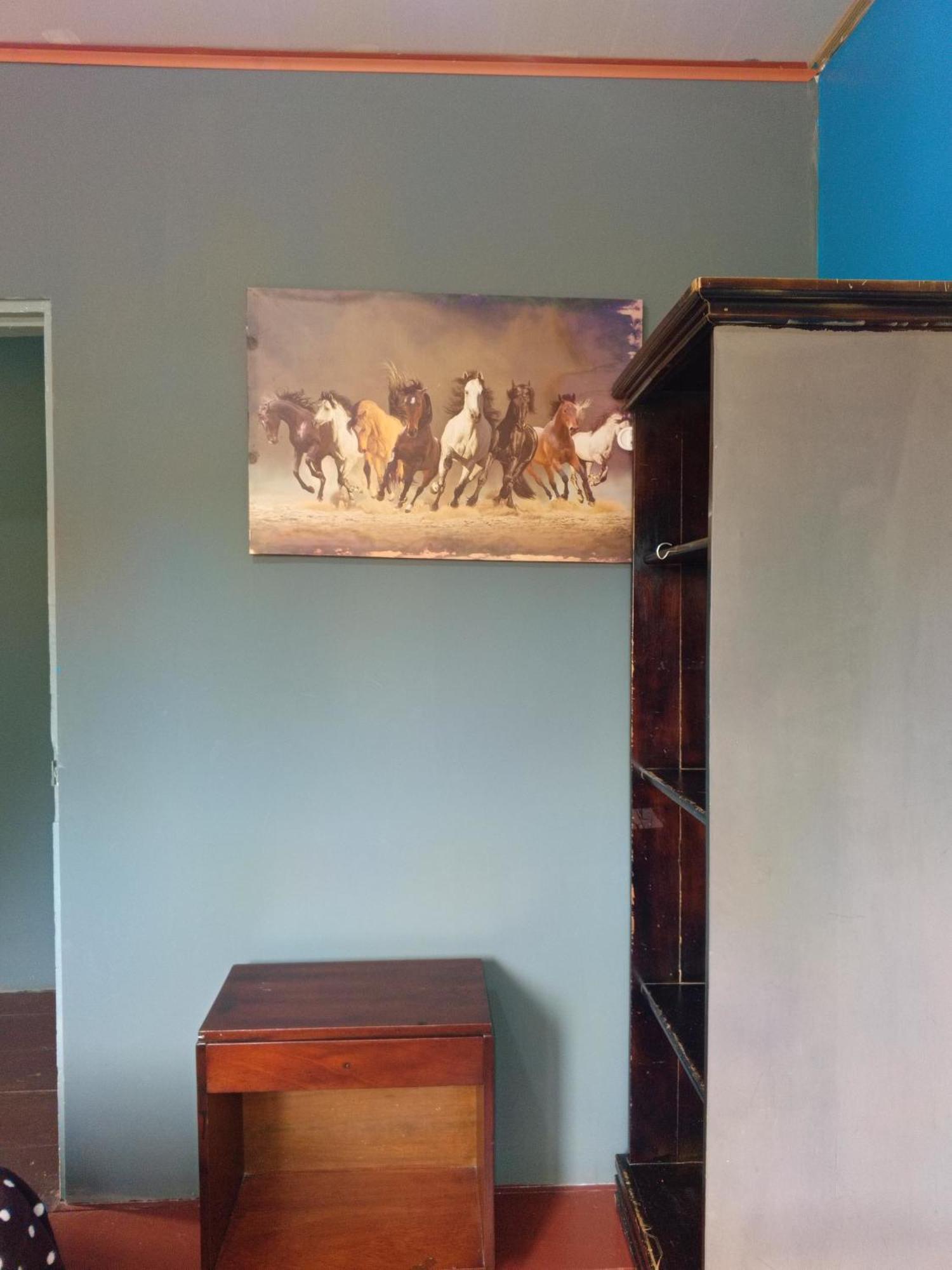 Hostal Vista Boquete Bajo Boquete ภายนอก รูปภาพ